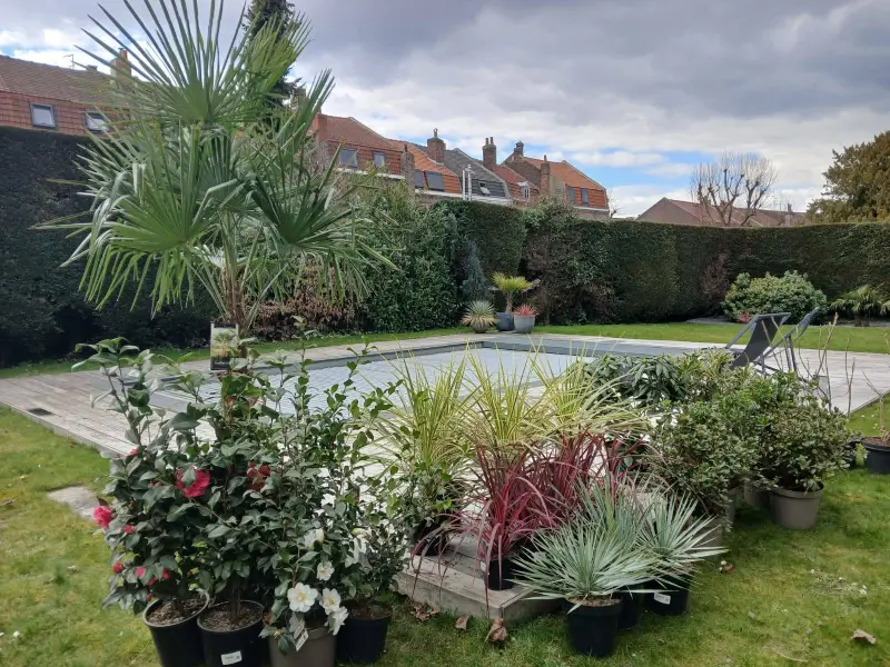 Livraison de plantation